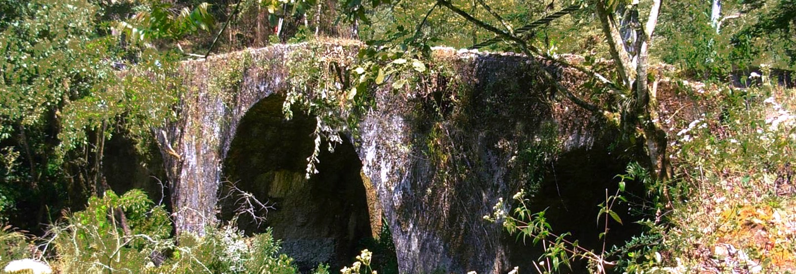 RUTA DE LAS ALTAS MONTANAS EN VERACRUZ